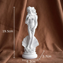 Load image into Gallery viewer, Venus Marbré