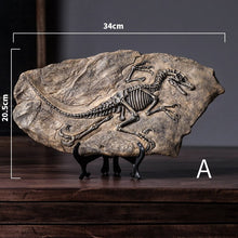 Load image into Gallery viewer, Dinosaur Fossil Decor