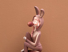 Load image into Gallery viewer, Rabbit Lady Storage