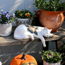 Load image into Gallery viewer, Bloomy Cat
