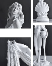Load image into Gallery viewer, Venus Marbré
