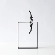 Load image into Gallery viewer, Metal Reflection™
