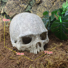 Load image into Gallery viewer, Head Bone Skull Ornament
