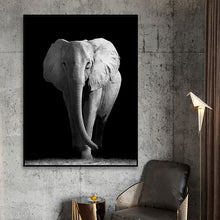 Load image into Gallery viewer, Black &amp; White Wildlife
