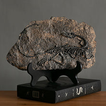 Load image into Gallery viewer, Dinosaur Fossil Decor
