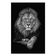 Load image into Gallery viewer, Black &amp; White Wildlife
