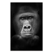 Load image into Gallery viewer, Black &amp; White Wildlife
