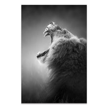 Load image into Gallery viewer, Black &amp; White Wildlife
