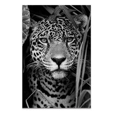 Load image into Gallery viewer, Black &amp; White Wildlife
